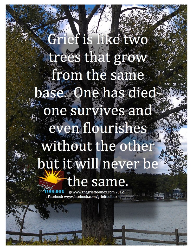 Grief is like two trees from the same hole The Grief Toolbox